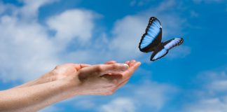 Vous êtes prêt à être libre